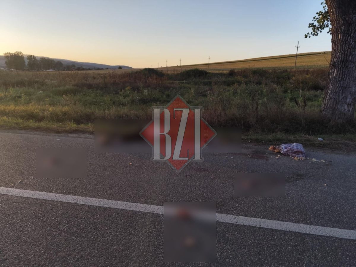 Tragedie în județul Iași! Victimă decedată într-un accident rutier, șoferul a fugit și este acum căutat de polițiști