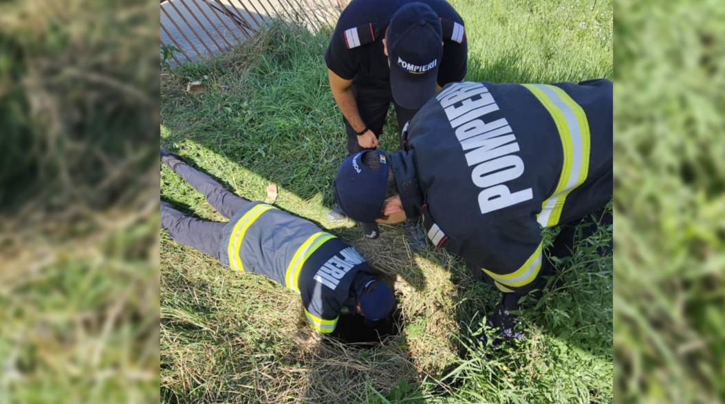 Salvare dramatică în Iași! Pompierii au scos un câine dintr-un canal adânc de 4 metri