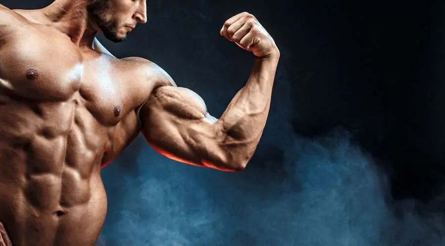 Body Line- Carbohidrații joacă un rol esențial