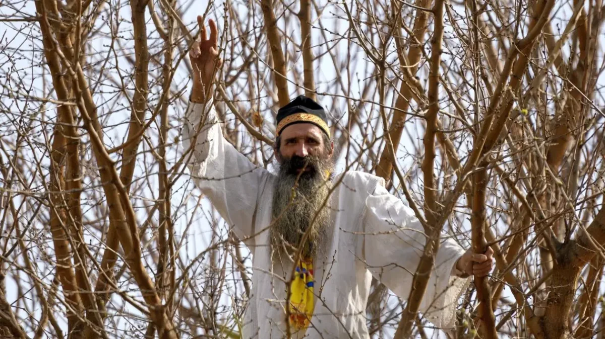 Cum se face justiția în România? Cezar Avrămuță, încătușat în timpul procesului. Judecătoarea cere voie de la penitenciar