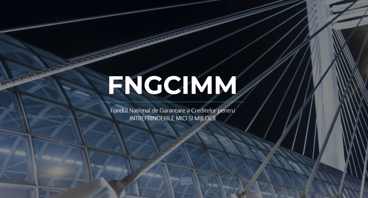 FNGCIMM intenționează să susțină mediul de afaceri printr-o preanaliză menită să accelereze accesul la finanțare