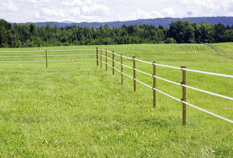 Fermierii primesc 30 de milioane de lei pentru montarea gardurilor electrice. Banii intră în conturile ieșenilor până la finalul anului