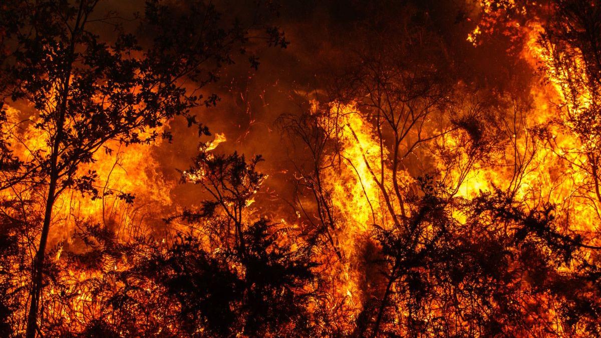 Tragedie în Spania! Român carbonizat în incendiile de lângă Madrid. Detalii cutremurătoare
