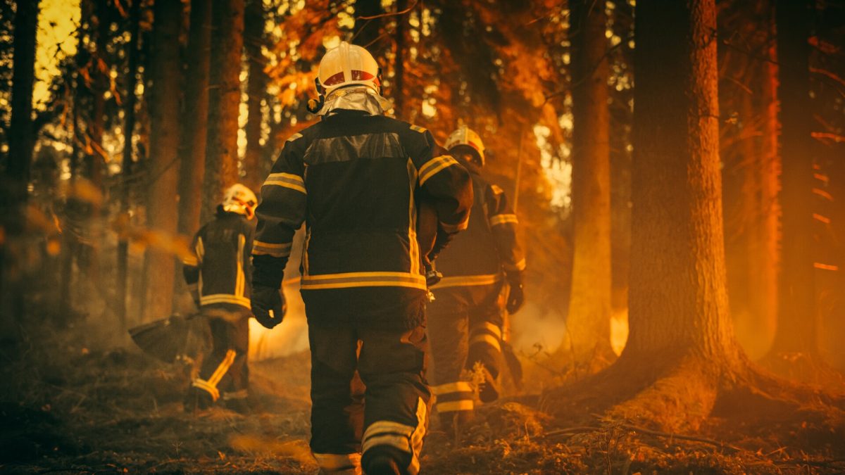 Dezastru total! Temperaturile extreme aprind flăcări uriașe în nord-vestul Spaniei