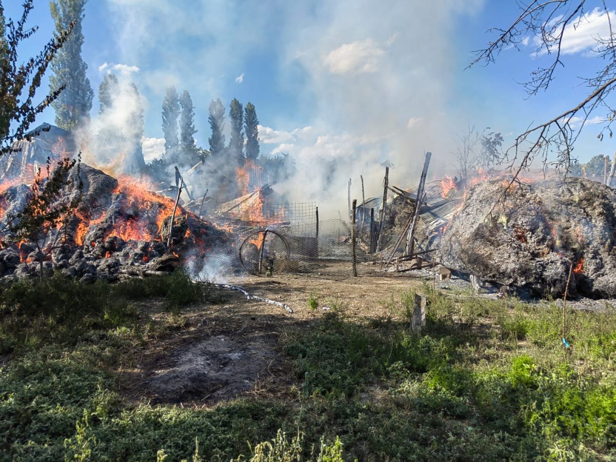 Incendiu violent la Băiceni! Pompierii intervin cu trei autospeciale