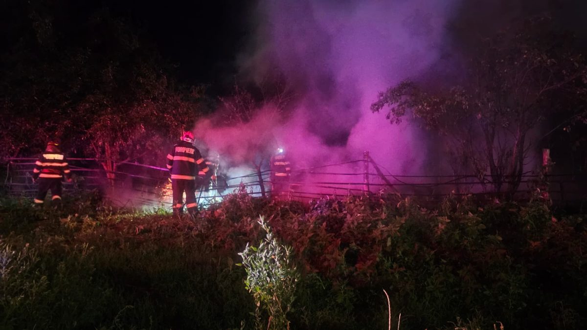 Incendiu puternic la Iași! Un depozit de furaje a luat foc la Schitu Duca
