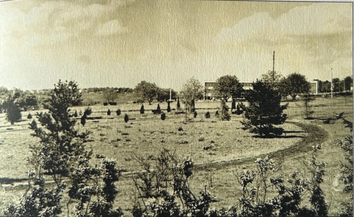 Dezvăluiri uimitoare despre Grădina Botanică din Iași! Cum arăta locul în anii ’60 și ce plante au supraviețuit până acum