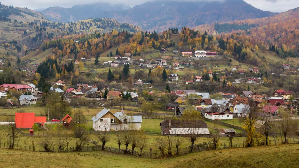 Regulă pentru românii care stau la casă. Ce copac trebuie neapărat să plantezi în curte