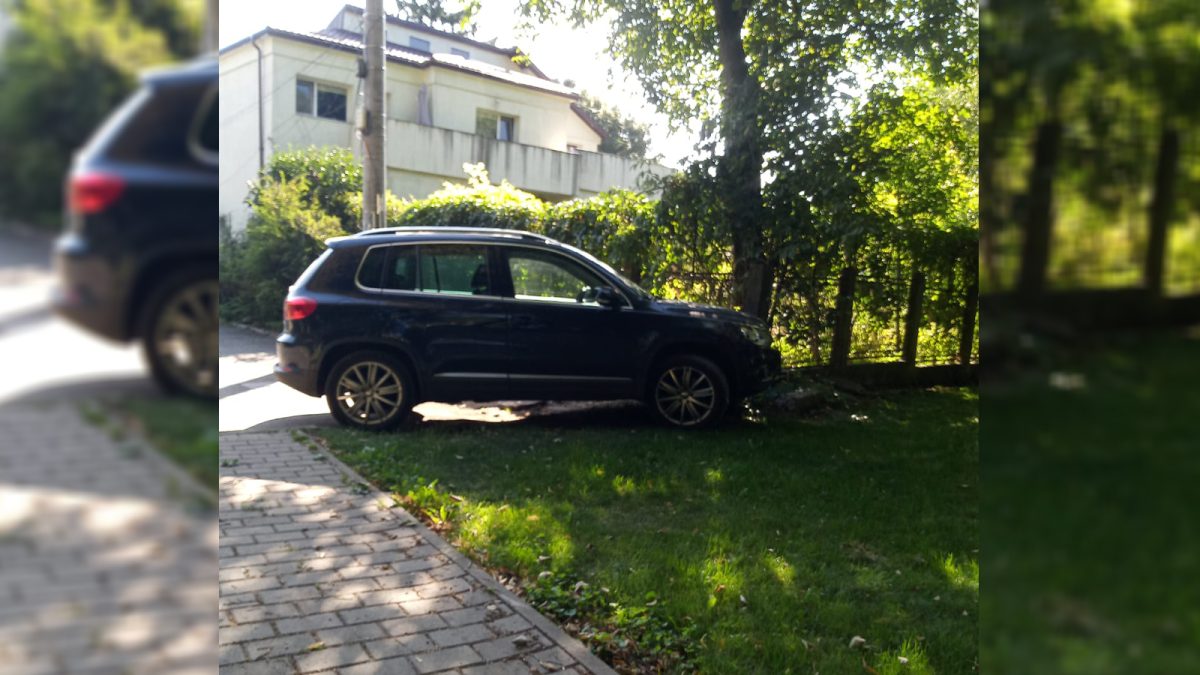 De ce a fost în stare un șofer din Iași! A intrat cu mașina în parc, ca să iasă la plimbare cu copiii