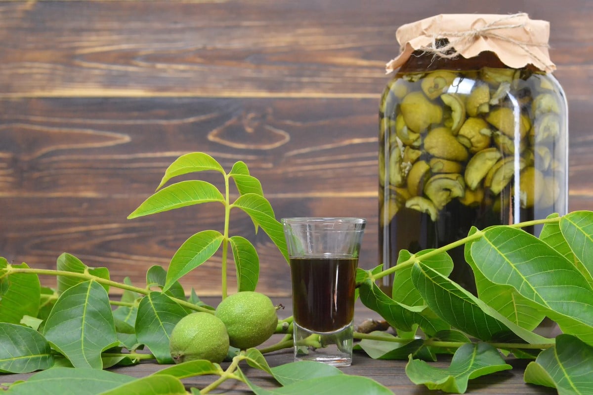 Tinctura de nuci verzi – Cum se prepară și ce beneficii incredibile are acest remediu natural asupra sănătății
