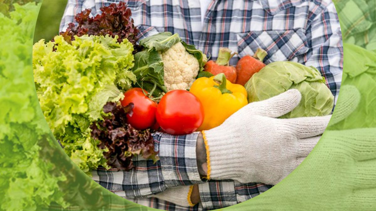 Se deschide o nouă măsură de finanțare pentru tinerii fermieri. Pot accesa până la 200.000 de euro/proiect