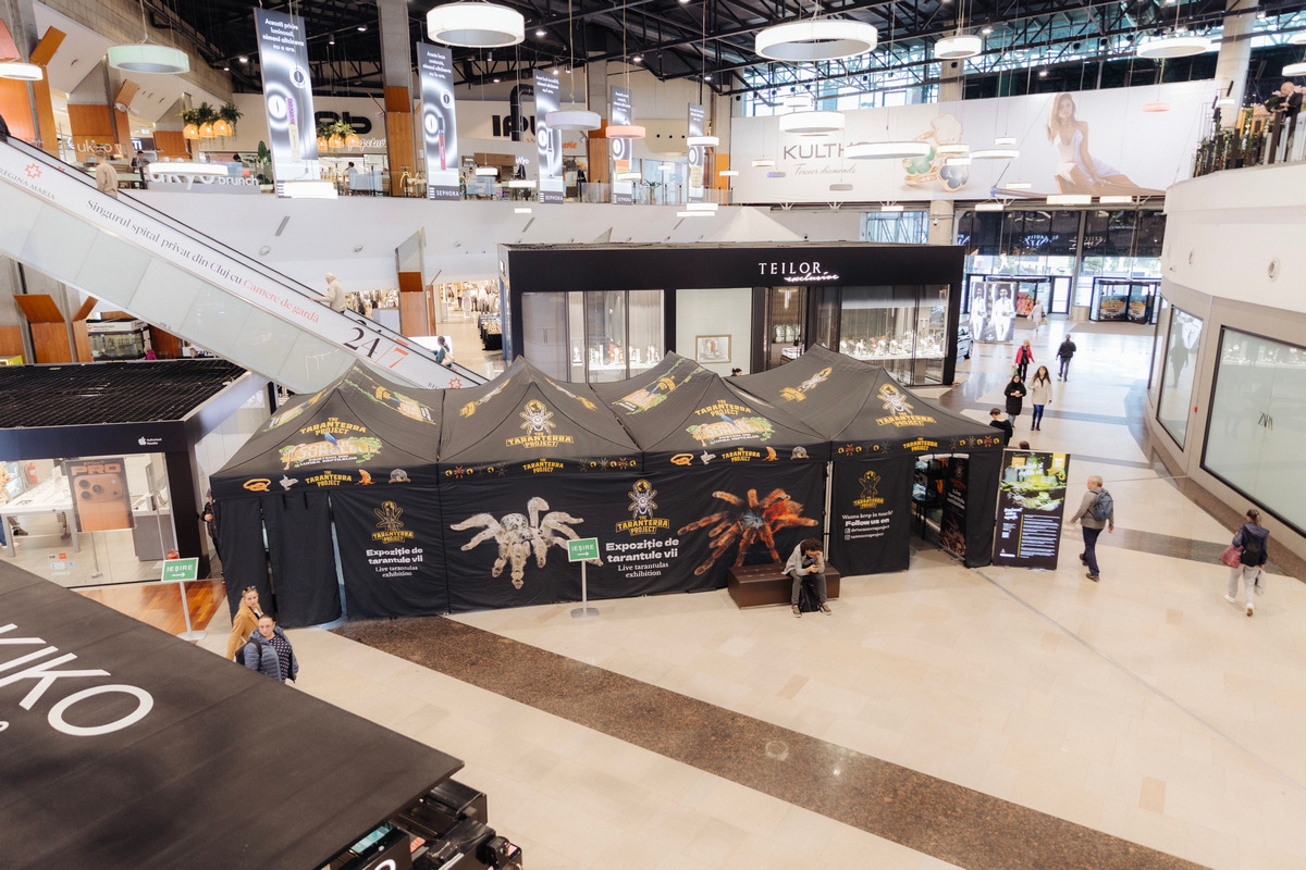 La Iulius Mall Cluj, expoziția educativă Taranterra te invită în lumea exotică a celor 70 de exemplare de reptile și tarantule vii