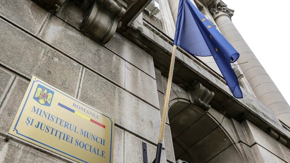 Surpriză pe piața muncii! O nouă profesie devine legală în România! Iată ce cursuri sunt recunoscute