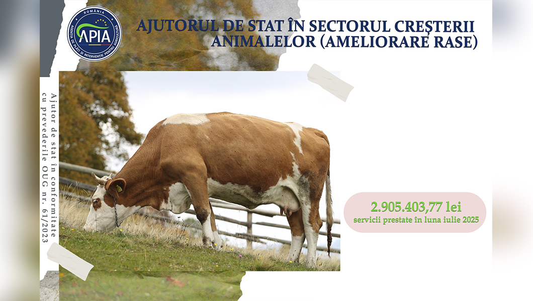 Ajutor de stat de peste 2,9 milioane lei pentru crescătorii de animale
