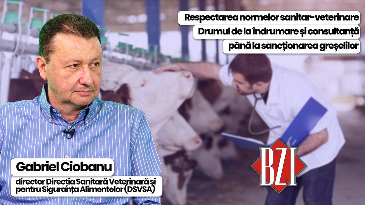 Gabriel Ciobanu, director DSVSA Iași, discută la BZI LIVE despre respectarea normelor sanitar-veterinare, sub aspectul consultanței cât și al sancțiunii