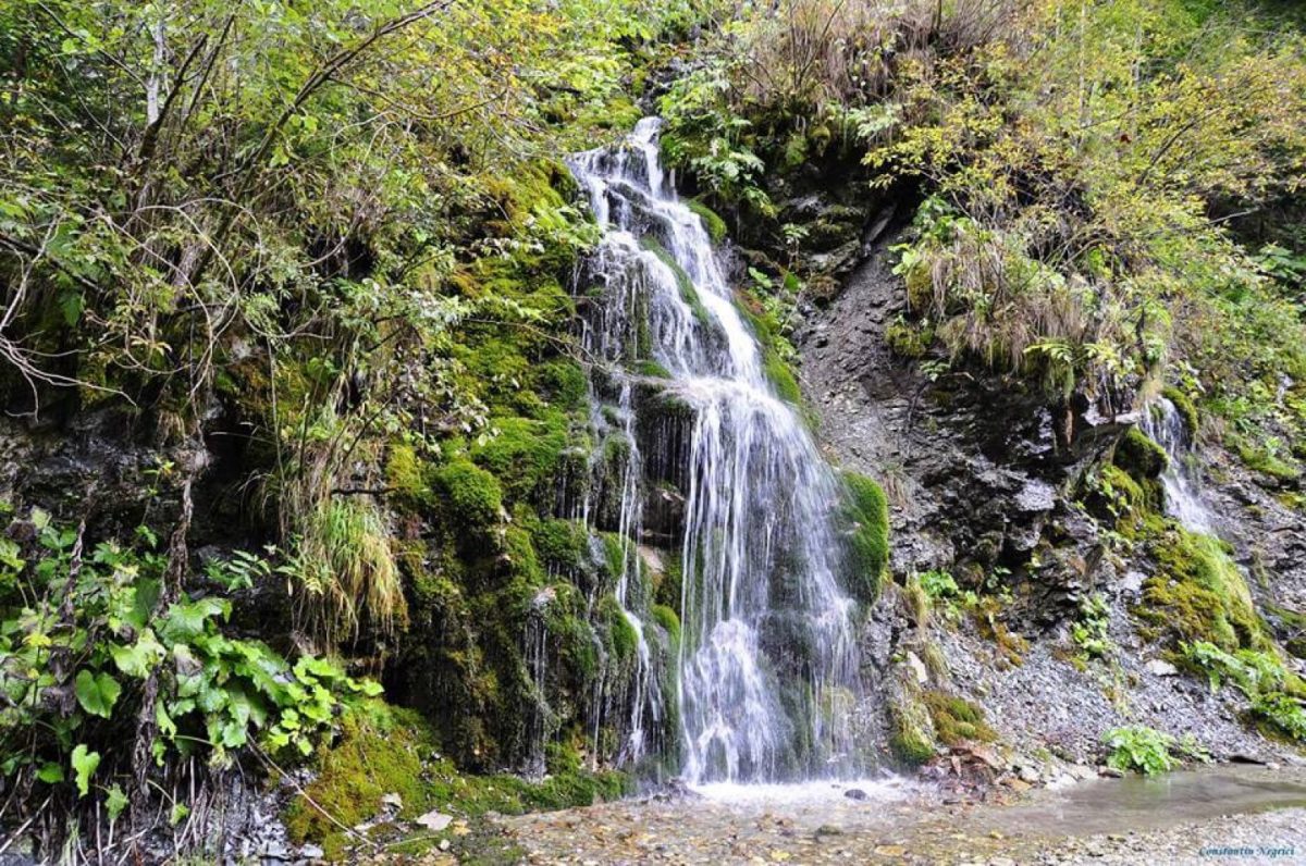 Cascada Apa Spânzurată – Unde se află și de ce merită vizitată? Este un spectacol natural de o frumusețe rară