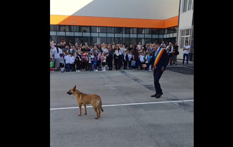 Start de an școlar la Iași! Mihai Chirica a fost pus în umbră de un câine, apărut pe neașteptate în curtea școlii