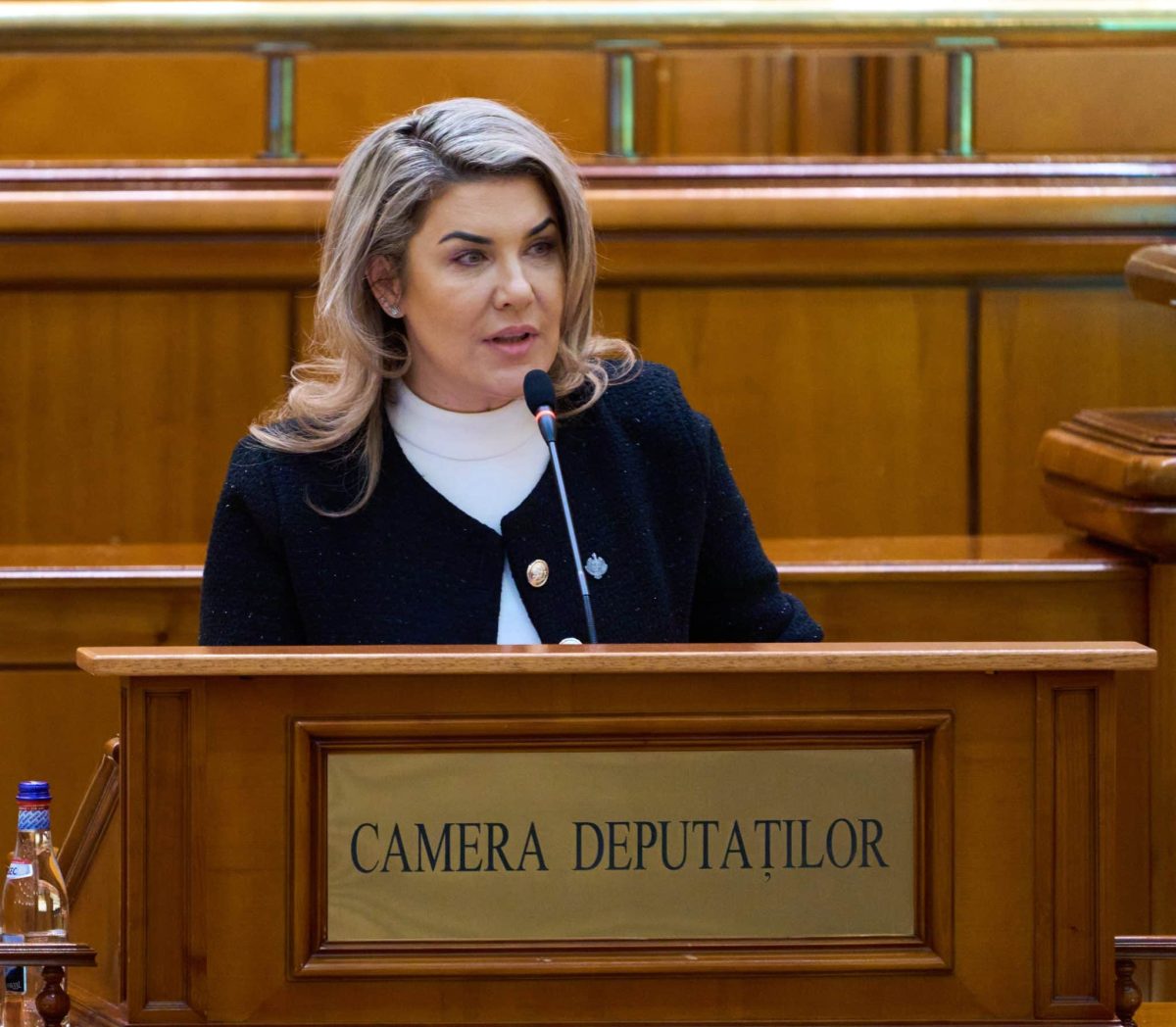 PSD, PNL, USR și UDMR nu au votat comisia de anchetă pentru investigarea cazurilor de abuz sexual din universități. AUR: „Ei apără abuzatorii!”