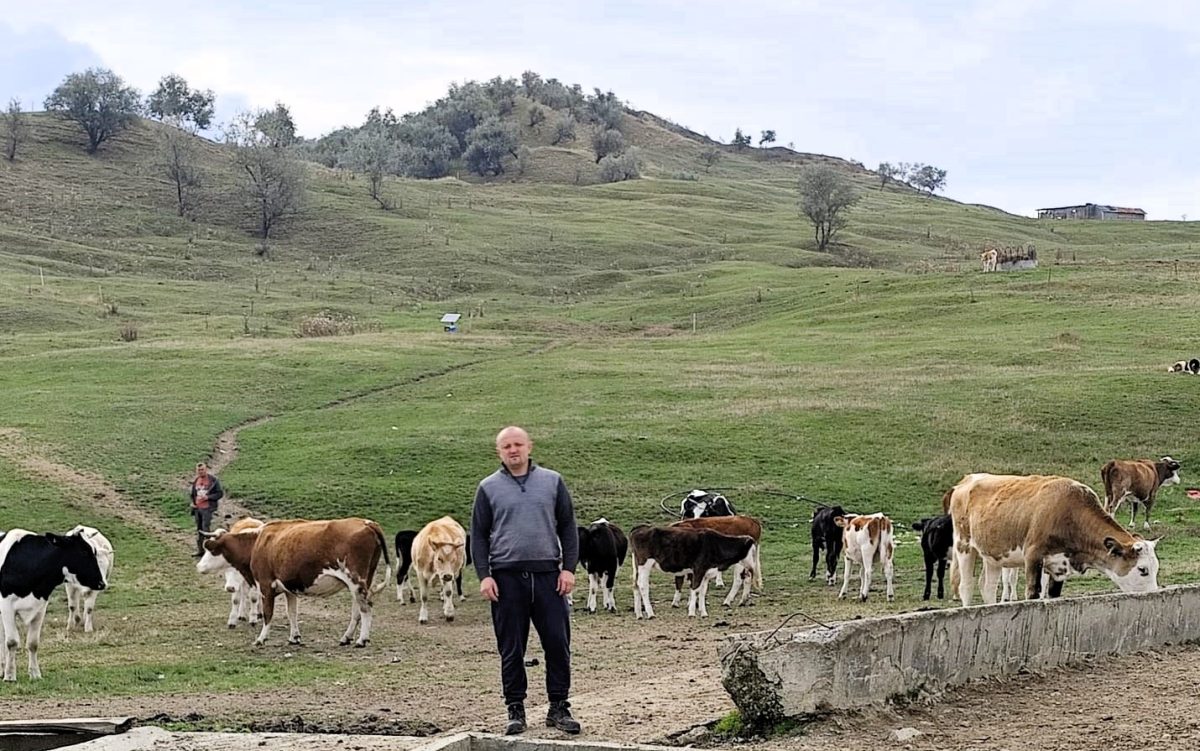 Povestea fermierului din Țibănești care a renunțat la ovine, în favoarea bovinelor și merge la USV Iași pentru perfecționare și networking