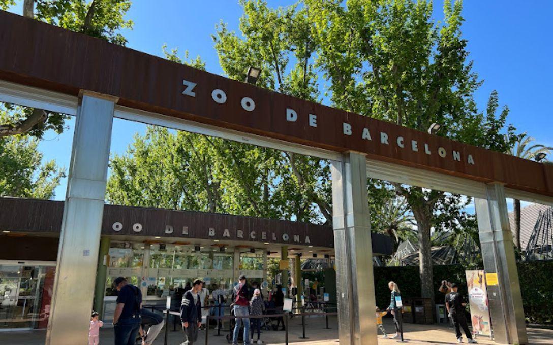Grădina Zoologică din Barcelona – O atracție de neratat din Spania