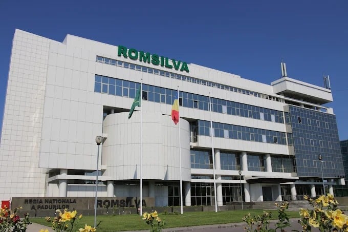 Romsilva ia măsuri drastice! Patru pădurari condamnați pentru furt de lemne, concediați