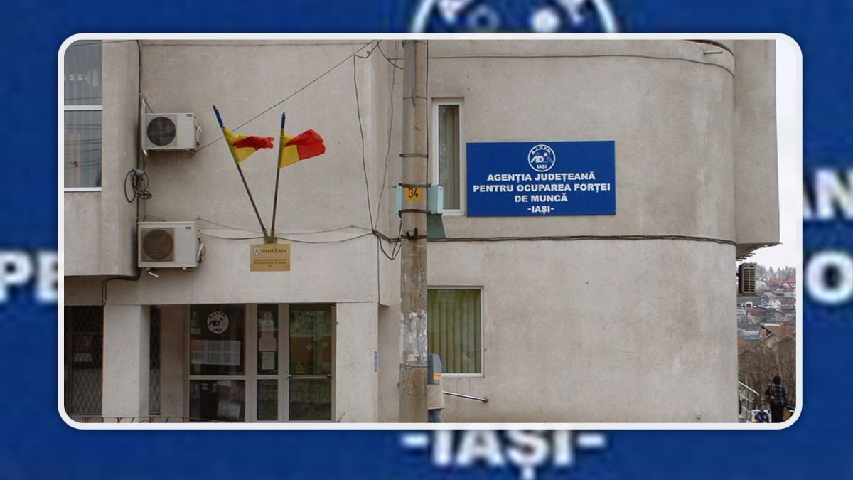 Ce șanse de angajare au persoanele cu studii medii din Iași! Aproape 800 de anunțuri sunt postate săptămânal, pe site-ul AJOFM