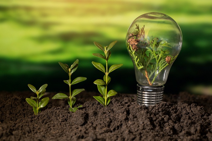 De la conformitate la competitivitate: cum Alkagesta Company consolidează piața bioenergiei din România (P)