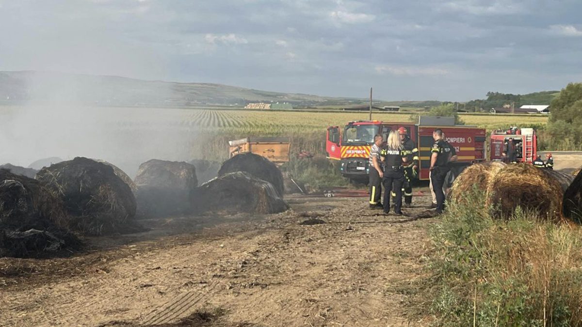 Răzbunare „incendiară” la Iași. Doi tineri, care nu au avut curaj să se bată cu rivalii, au dat foc la tot ce au găsit în cale