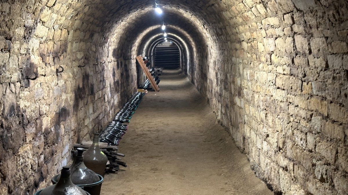 Puțini știu ce se ascunde sub dealul Copoului: tunelul secret de 350 de metri, care adăpostește sute de sticle de vin și povești de ani de zile
