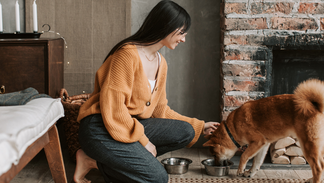 Cum găsești chirii pet-friendly în România în 2025 – drepturi, tendințe și platforme care acceptă animale de companie