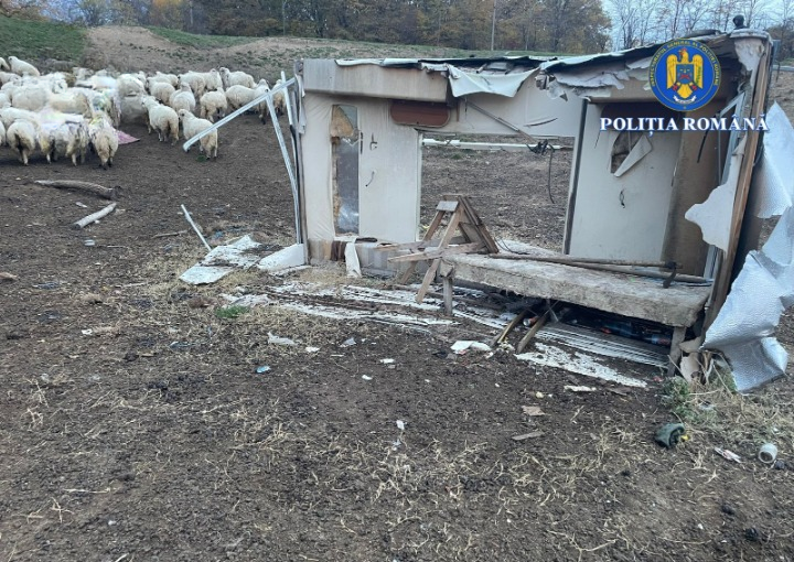Doi bărbați din Iași, acuzați că au pus oameni să muncească cu forța și i-au exploatat la cerșit