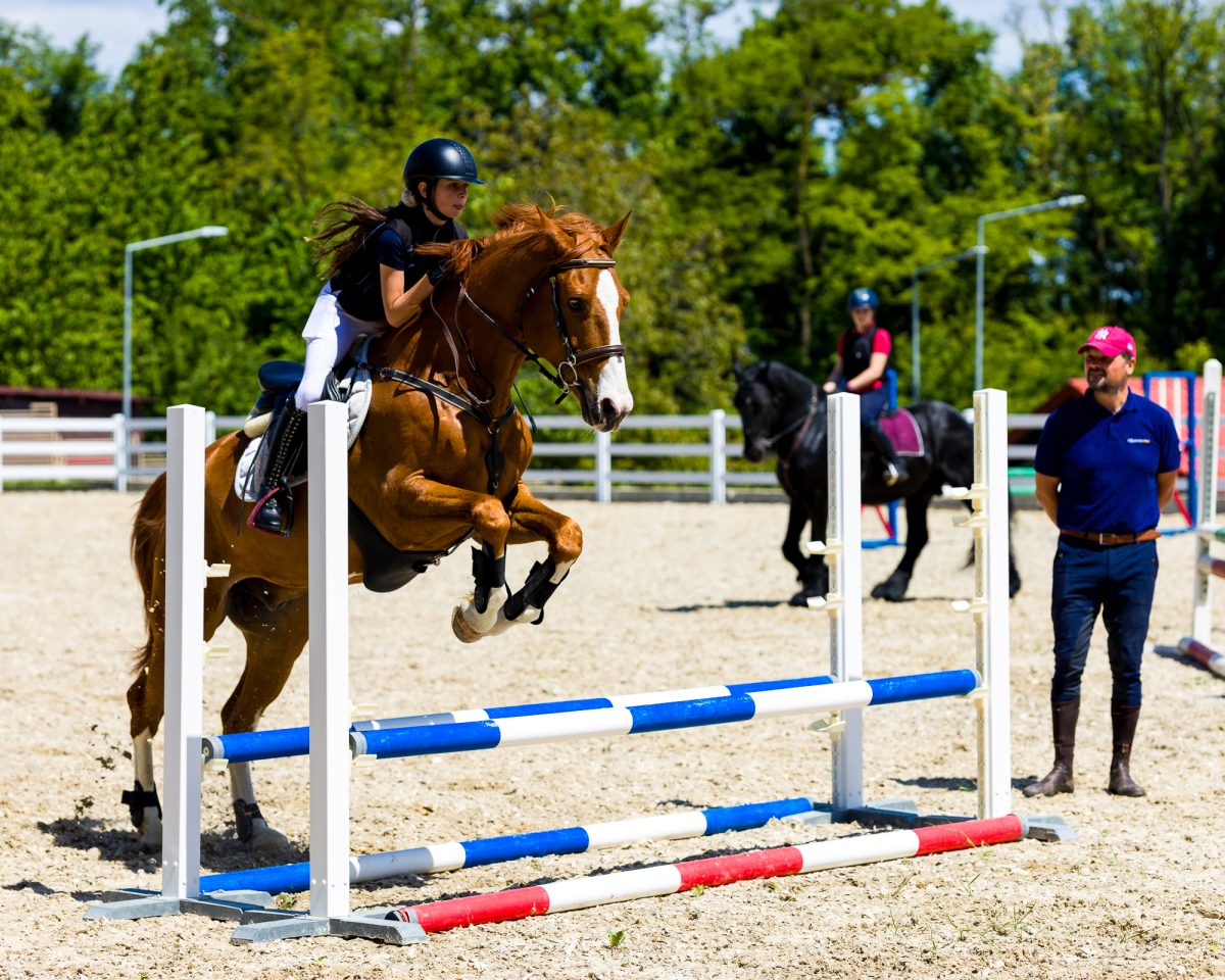 Parteneriat pentru educație și sport! USV Iași și Clubul Equestrer promovează echitația și terapia asistată de cai