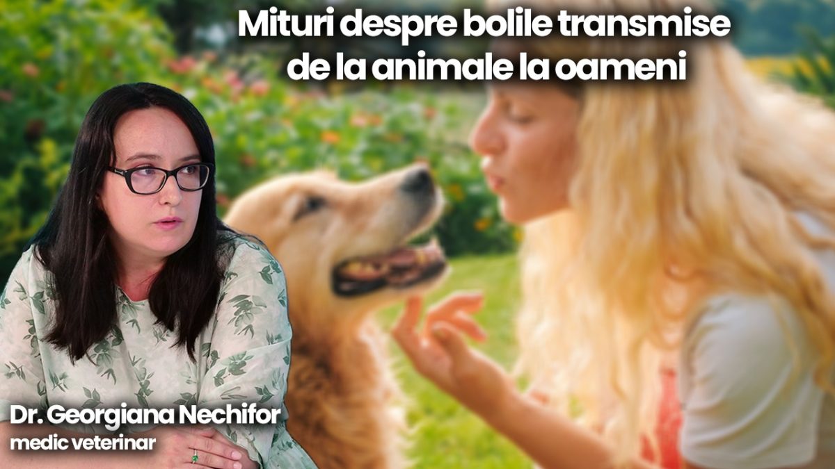 Adevăr și mit despre bolile care se transmit de la animale la oameni explicate în emisiunea de sănătate de dr. Georgiana Alexandra Nechifor la BZI LIVE