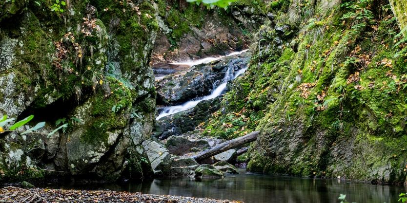 De ce merită văzută cascada Cornet? Iată cât de spectaculoasă este și ce trasee poți face în zonă