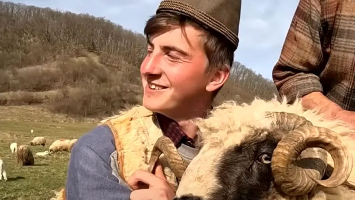 Experiență neplăcută pentru un cioban din Deleni, plecat la muncă în Germania. Cu cât era plătit pentru 12 ore pe zi