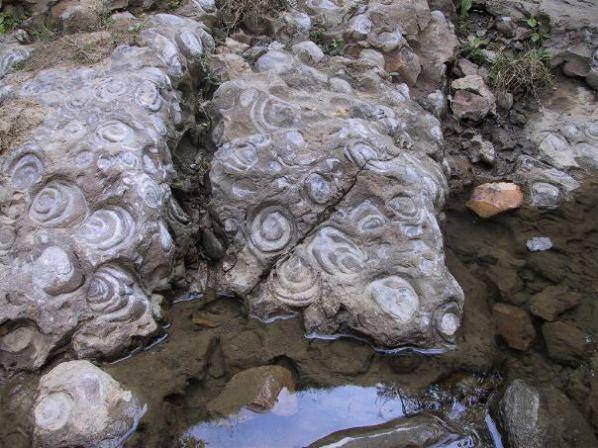 Dealul Melcilor o comoara geologică unică a României. Locul unde natura a scris istorie în piatră