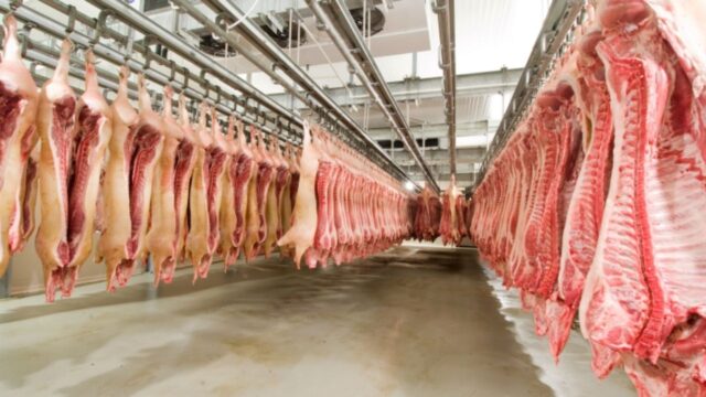 Aproape două tone de carne de porc posibil infectată cu pestă porcină africană și sute de ouă contaminate cu Salmonella, retrase de pe piață