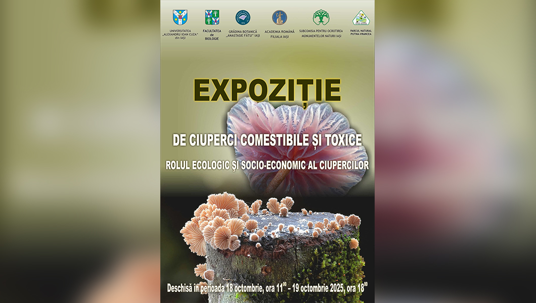 Expoziție inedită cu ciuperci comestibile și toxice, la Grădina Botanică din Iași