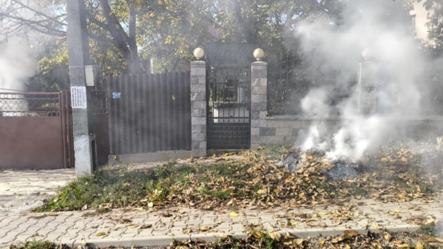 Garda de Mediu Iași avertizează că arderea frunzelor și crengilor constituie infracțiune. Amenzile pot ajunge la 70.000 de lei