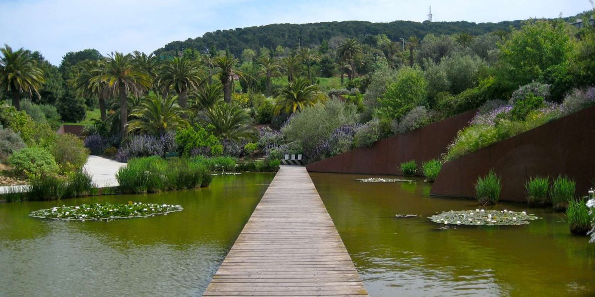 Grădina Botanică din Barcelona – Iată ce specii deosebite poți vedea în acest loc și de ce merită vizitată