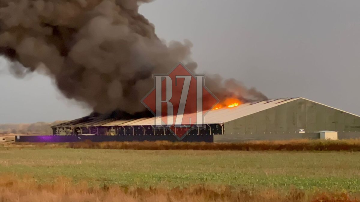 Incendiu în comuna Țuțora! Flăcările au cuprins o fermă de porci – UPDATE