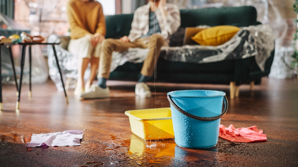 Locatarii obligați să își despăgubească vecinii! Reguli pentru proprietarii de apartamente! 