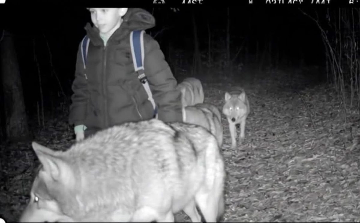 În timpul unei drumeții cu familia, un băiețel de 9 ani cu autism s-a rătăcit în pădure