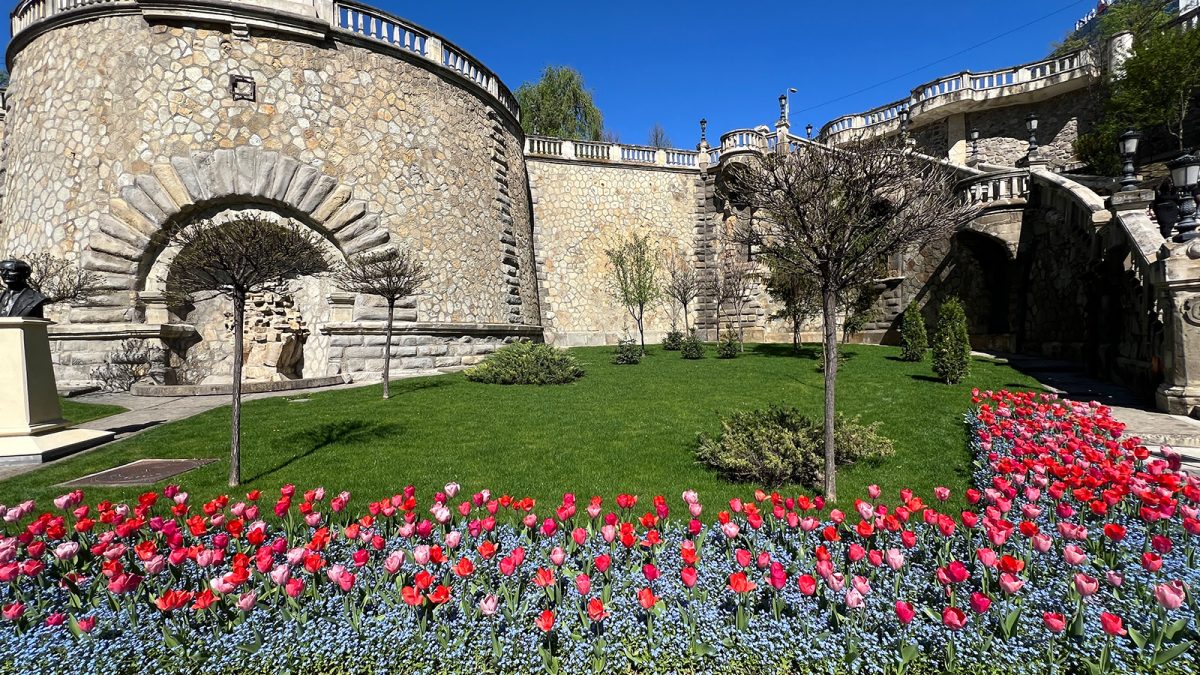 Ieșenii vor putea admira sute de mii de flori în primăvara viitoare! Muncitorii plantează 300.000 de bulbi de lalea în oraș