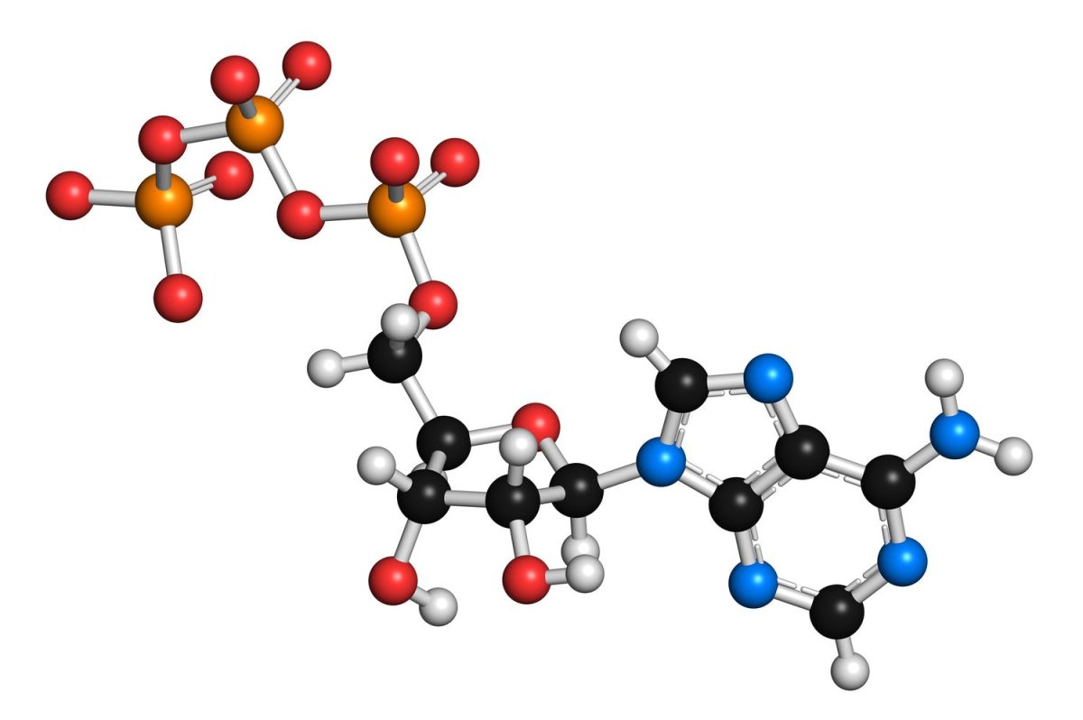 Tot ce trebuie să știi despre molecule. Importanța acestora în chimie și fizică