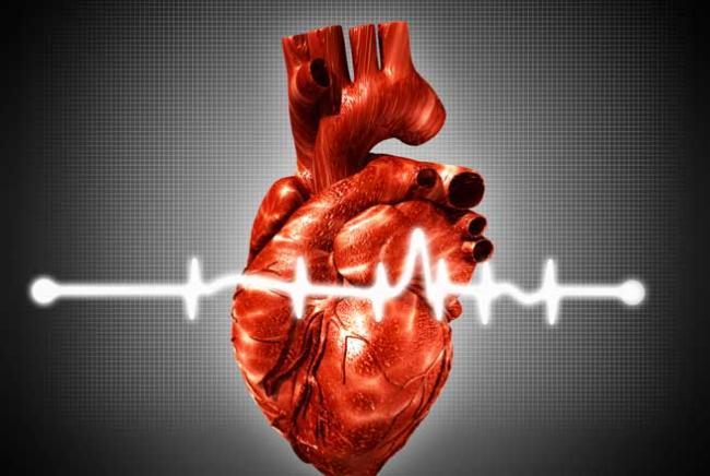 Revoluție medicală la Iași! Cardiologii români brevetează un dispozitiv care asistă circulația sangvină