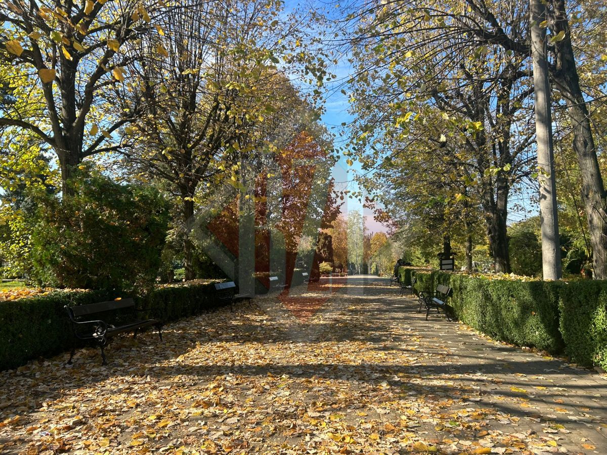 Peisaje de poveste în Grădina Botanică din Iași! Toamna își arată farmecul deplin