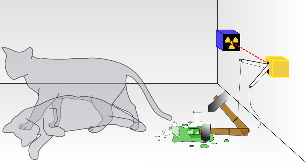 La ce se referă Pisica lui Schrödinger? Iată tot ce trebuie să știi despre acest experiment mental!