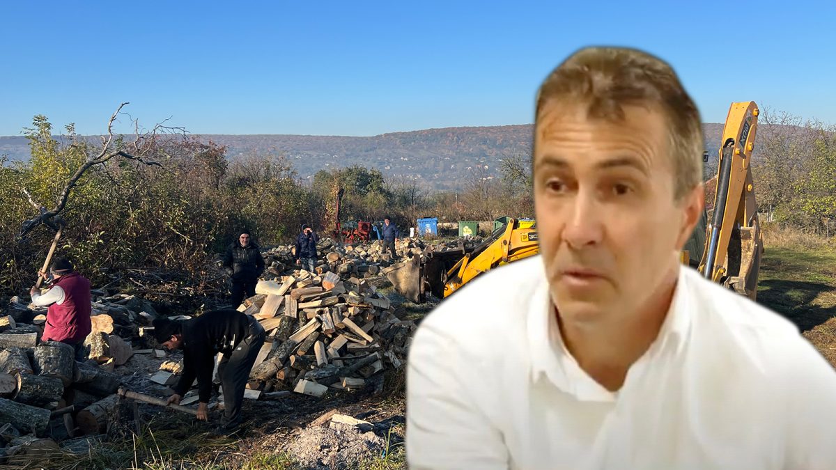 Primarul din comuna Dobrovăț, în atenția poliției după ce a furat lemnele de la grădiniță! Iată ce au descoperit inspectorii Gărzii Forestiere Suceava