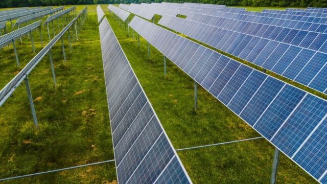 Ajutor financiar pentru energie verde în ferme! Cum își pot reduce factura la curent agricultorii și procesatorii